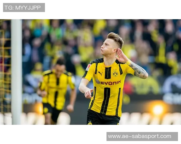 罗伊斯力挺布兰特留队多特未来合作前景可期